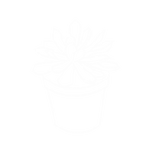 succulents-05.png